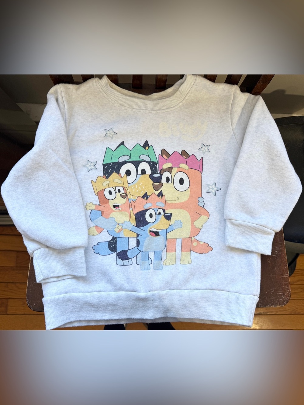 Kids Bluey Sweatshirt - Light Gray, Size 4T